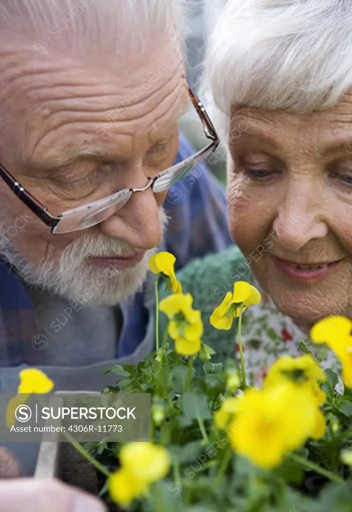 An elderly scandinavian couple, Sweden, close-up.