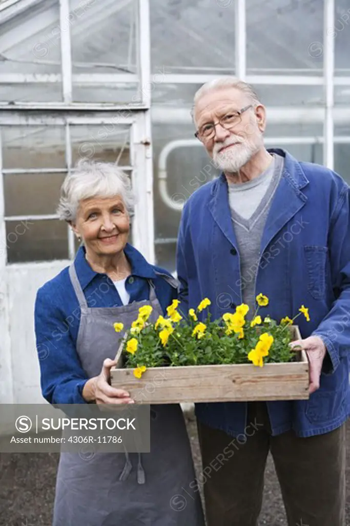 An older couple holding a flowerbox outside a greenhouse, Sweden.