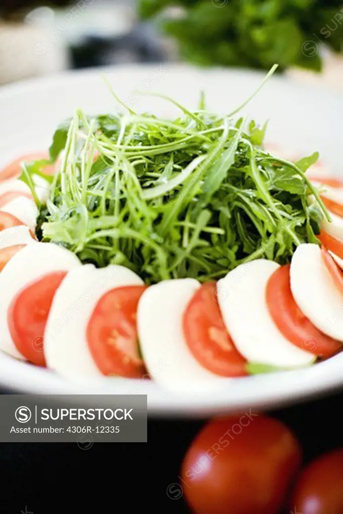 Rucola, tomatoes and mozzarella on a plate, Sweden.
