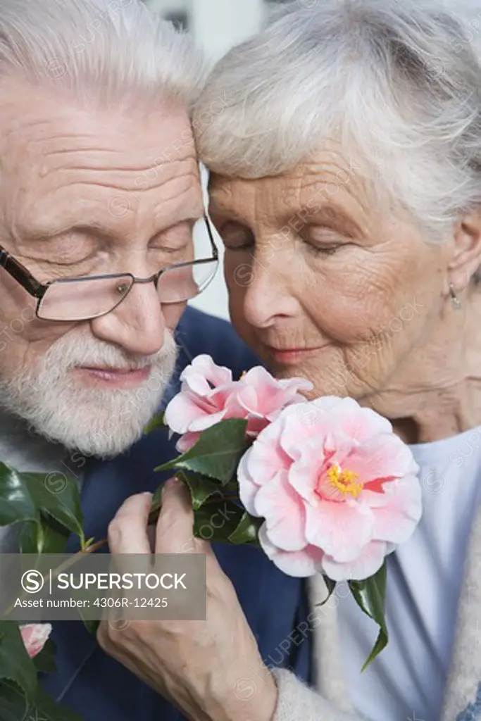 An elderly couple with a flower, Stockholm, Sweden.