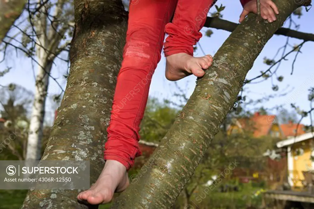 Children climbing a tree, Sweden.