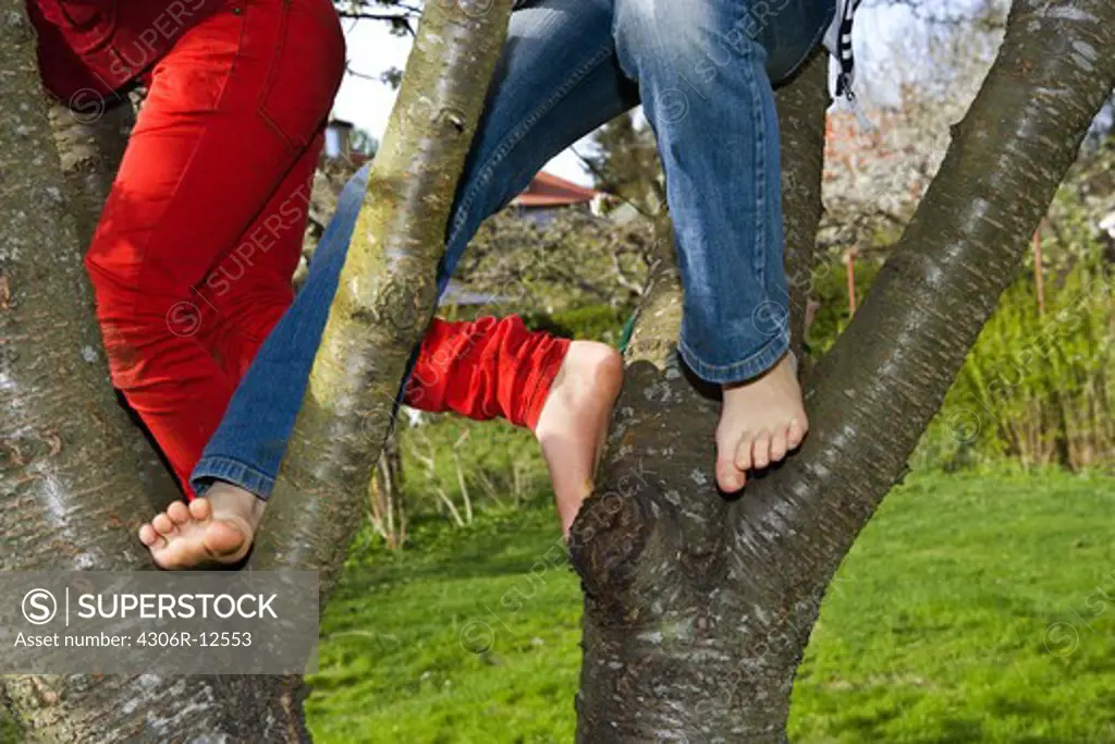 Children climbing a tree, Sweden.