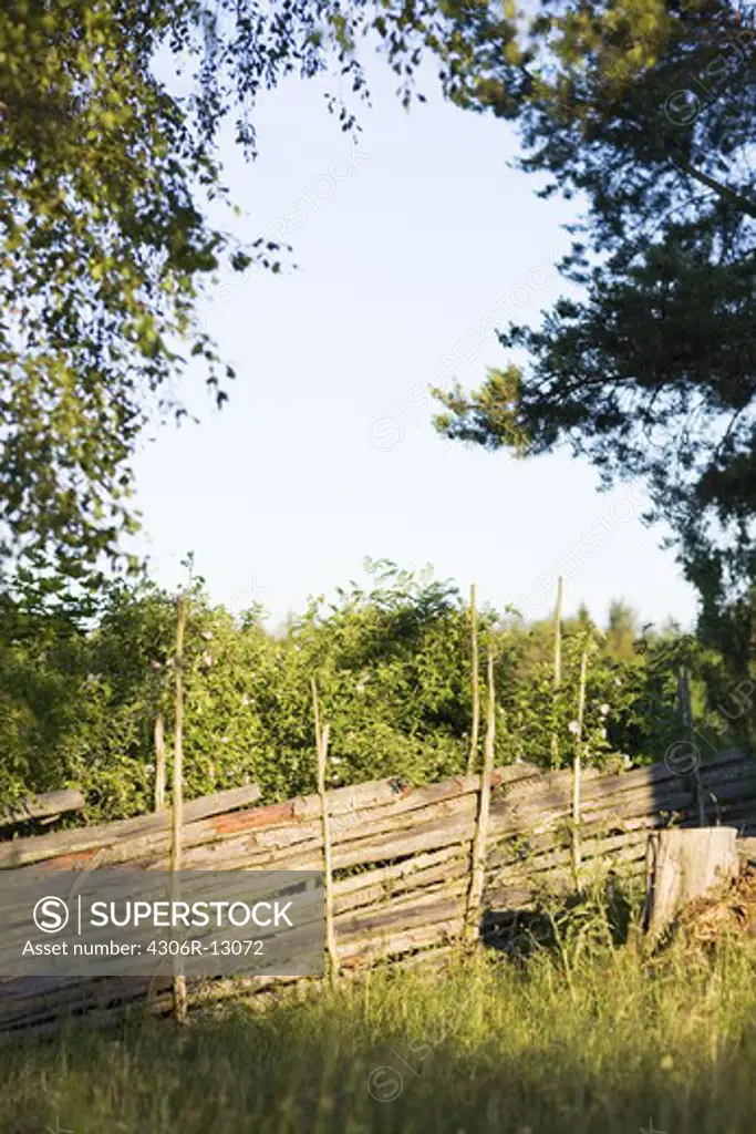 A wooden fence, Sweden.