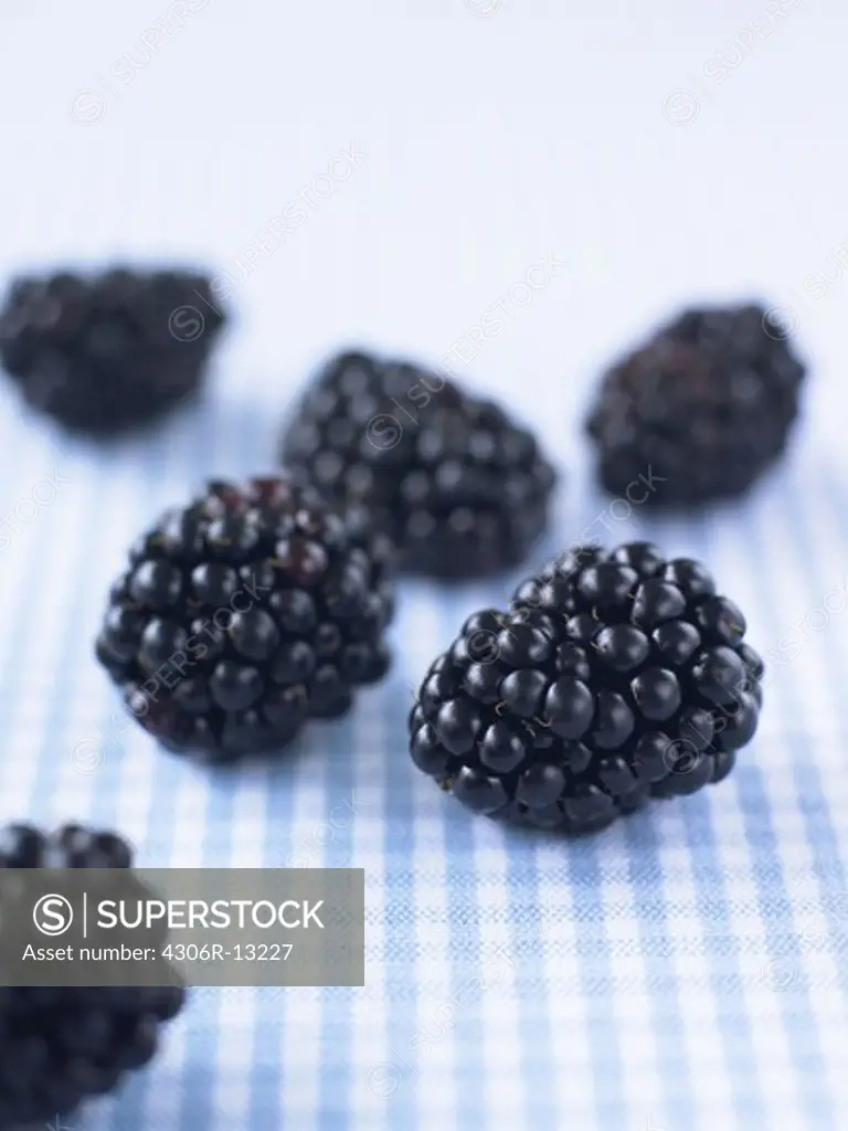 Blackberries, close-up.