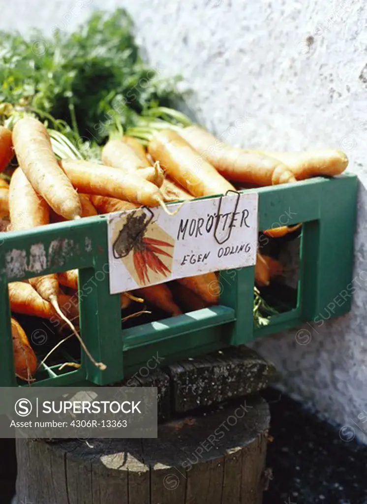 Fresh carrots in basket with tag