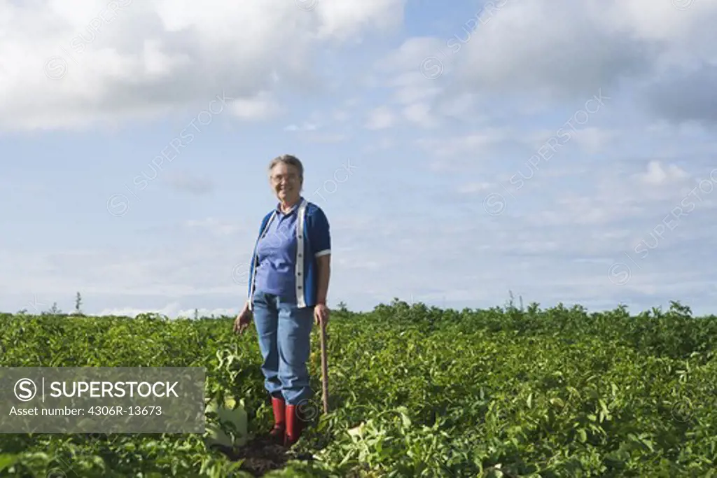 A woman standing in a potato-field, Skane, Sweden.