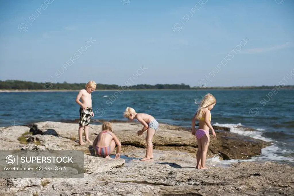Children looking for clams, Gotland, Sweden.
