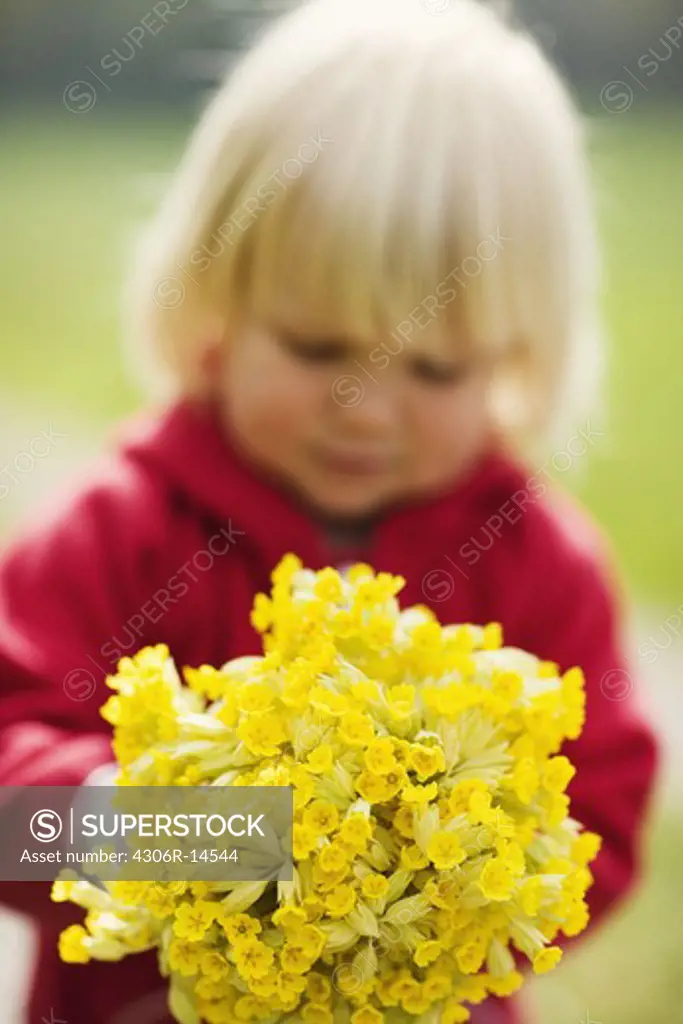 A girl with cowslips, Sweden.
