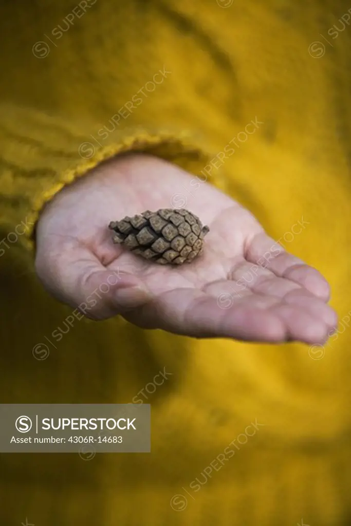 A woman holding a pine cone, Sweden.