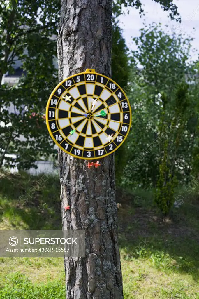 Arrows on a tree.