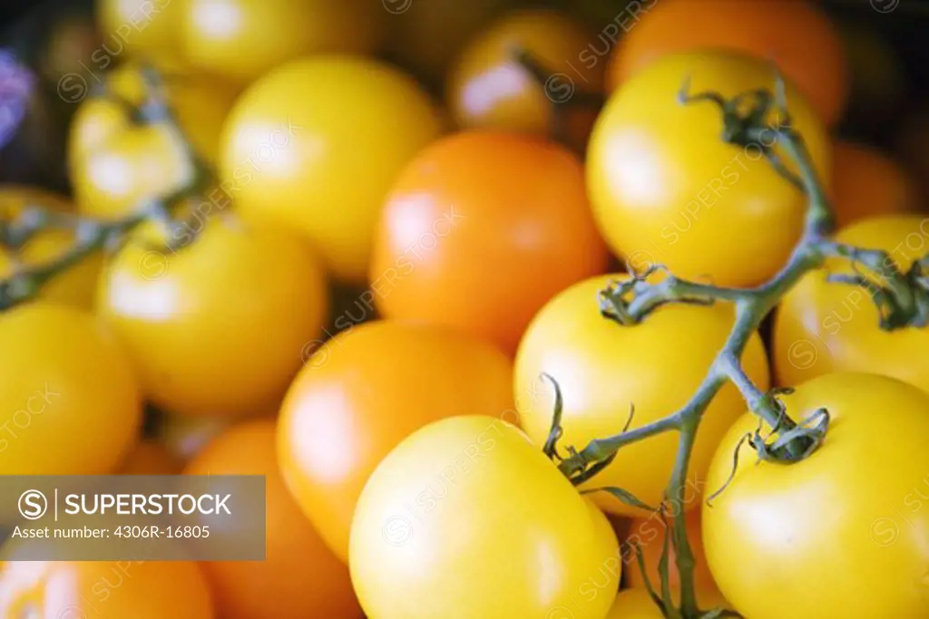 Yellow tomatoes.
