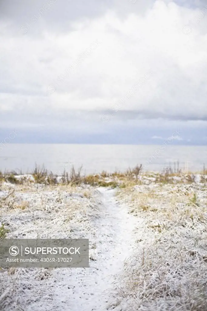 A footpath by the beach, Gotland, Sweden.