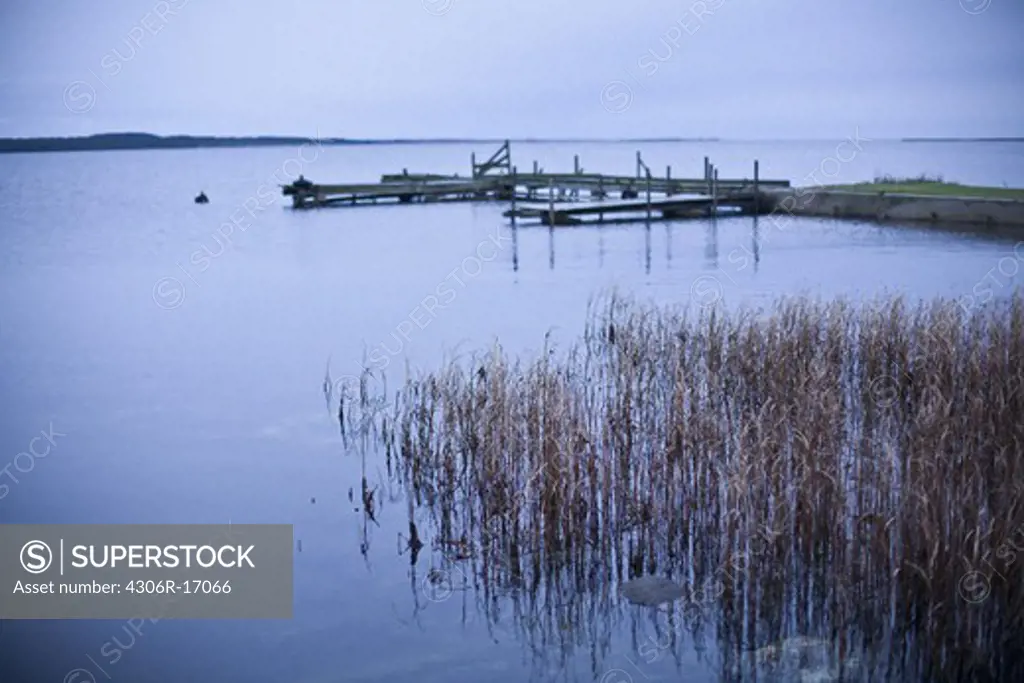 A jetty and reeds, Gotland, Sweden.