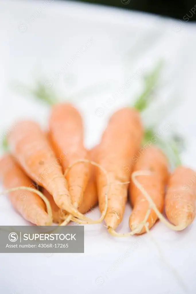 Carrots, close-up.