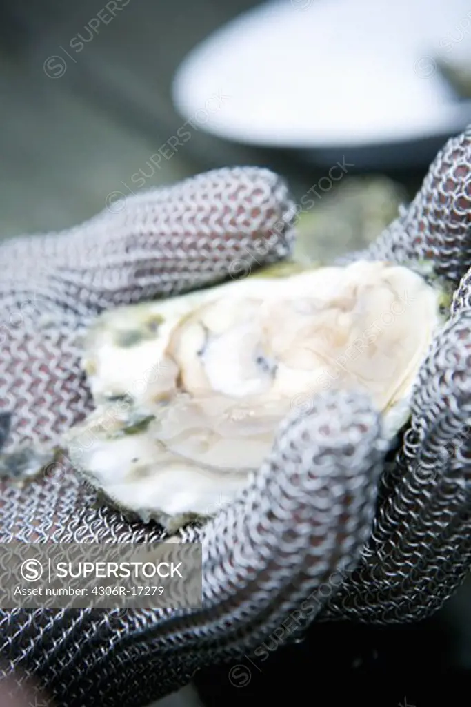 A hand holding an oyster, Sweden.