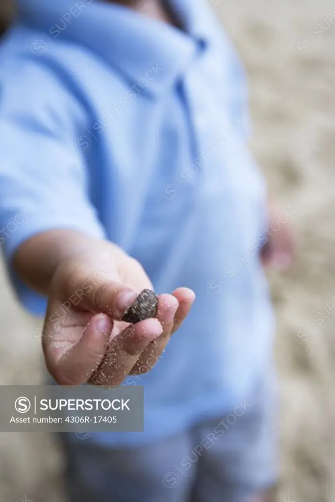 A boy holding a seashell.