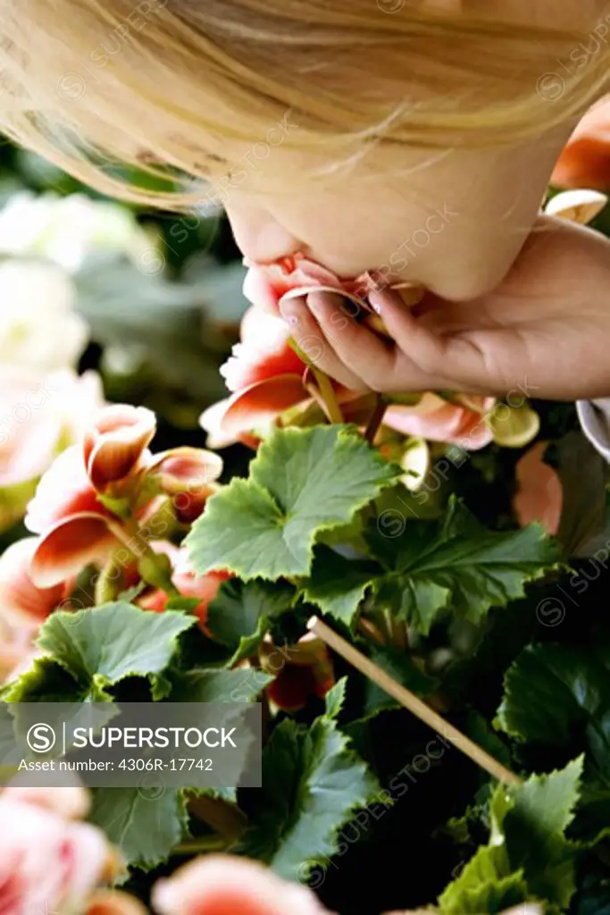 A little girl with a flower, Sweden.