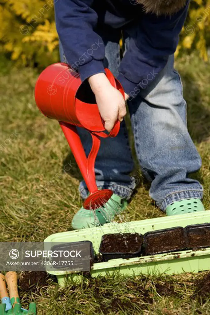 A boy planting flowers, Sweden.