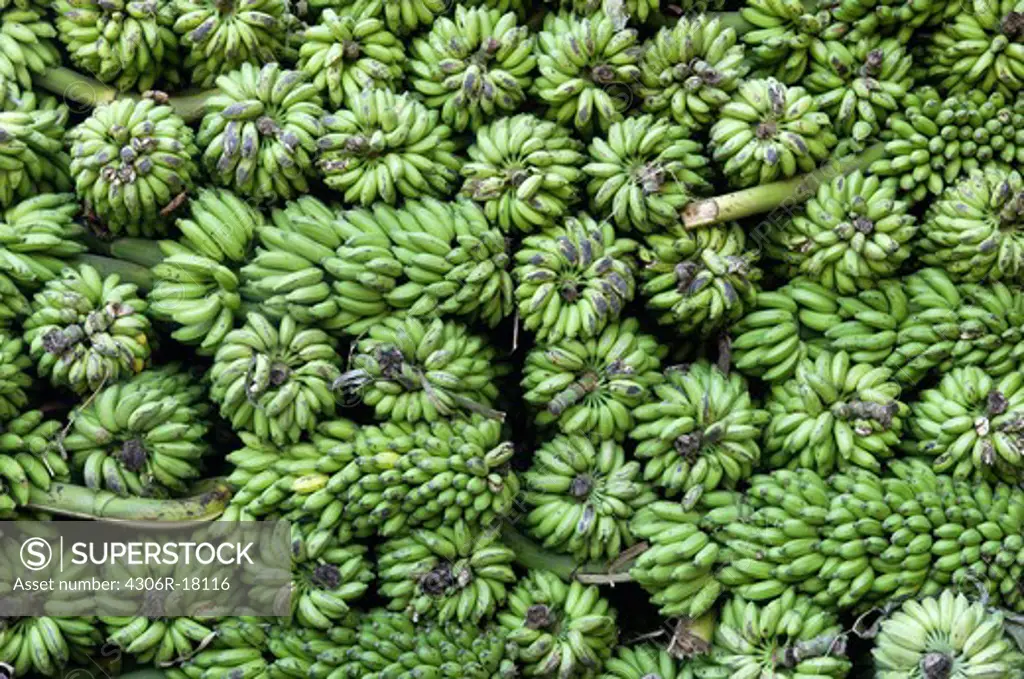 Bananas, India.