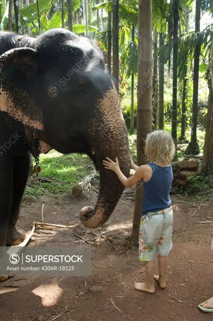 A boy and an elephant, India.