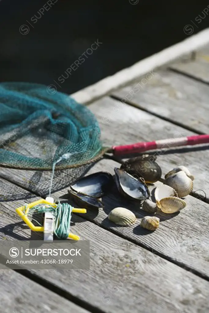A bag net and sea mussels, Sweden.