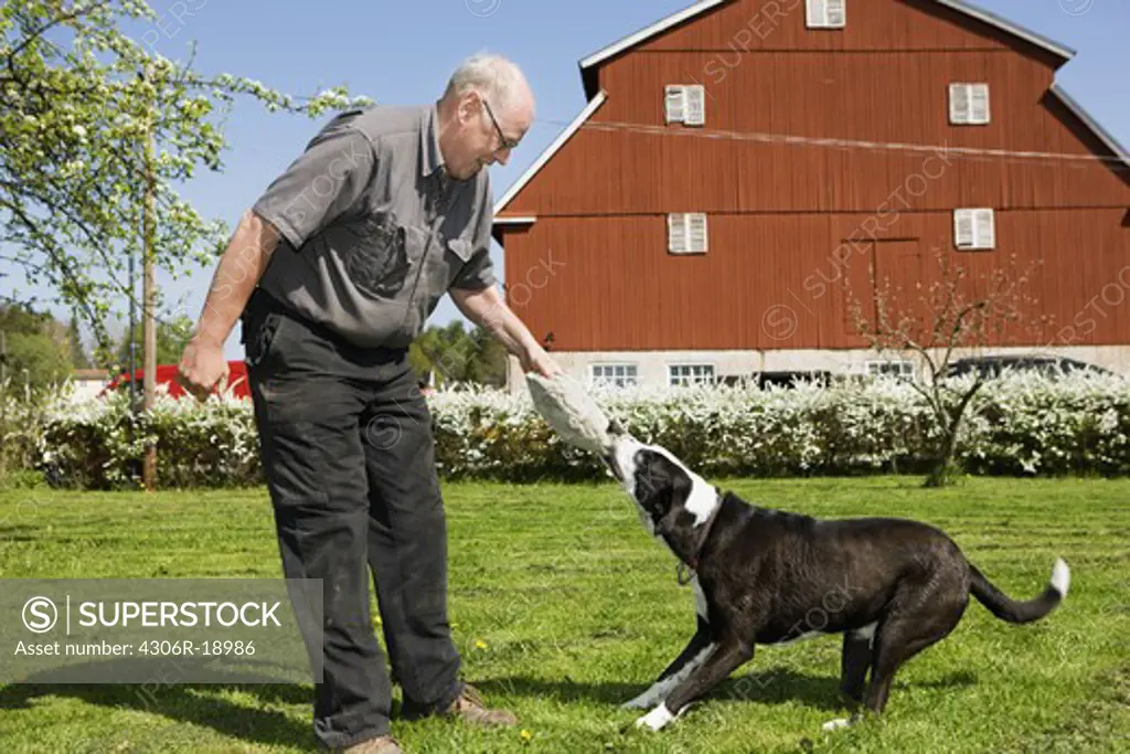 A man playing with a dog, Sweden.