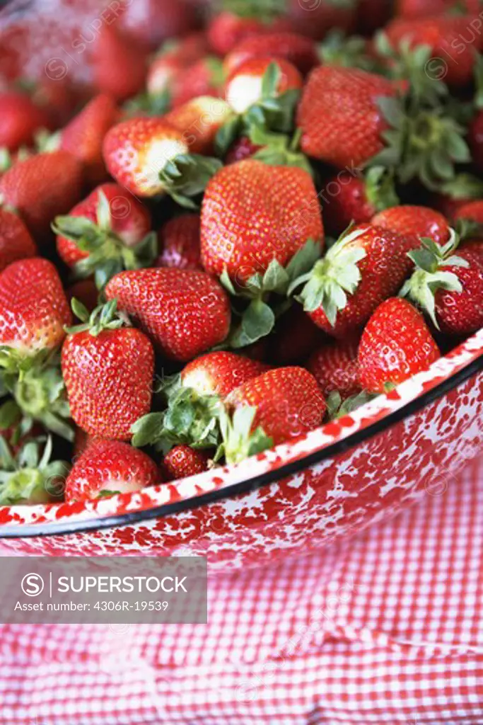 Strawberries in a bowl, South Africa.