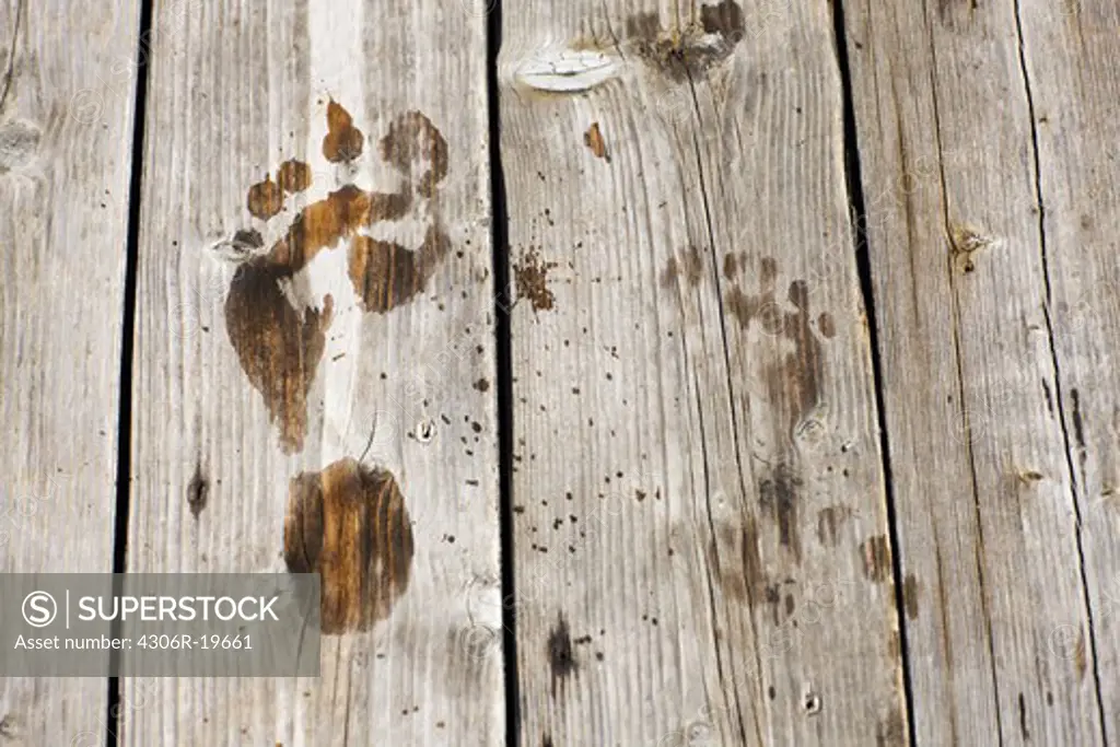 Footprints on a jetty, Sweden.