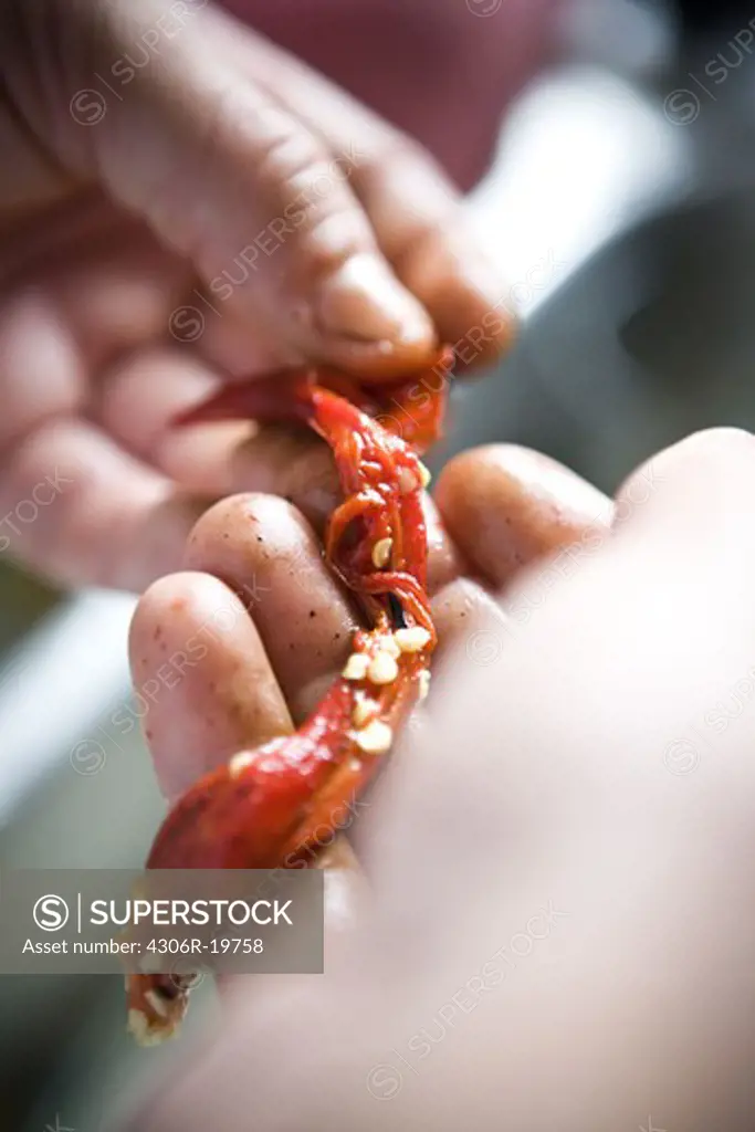 Peeling red pepper, close-up, Sweden.