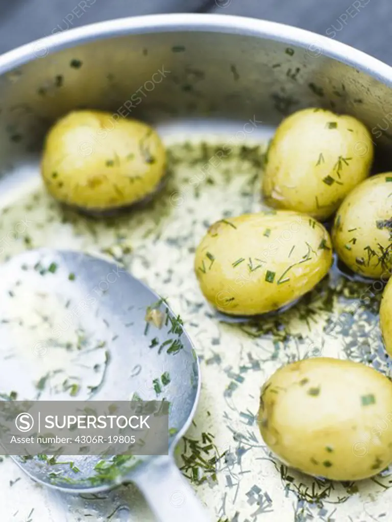 Potato and dill, close-up, Sweden.