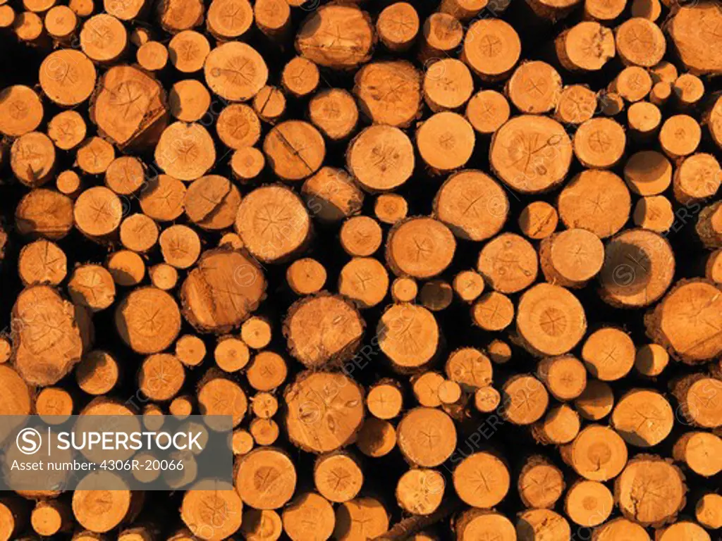 Timber, Sweden.