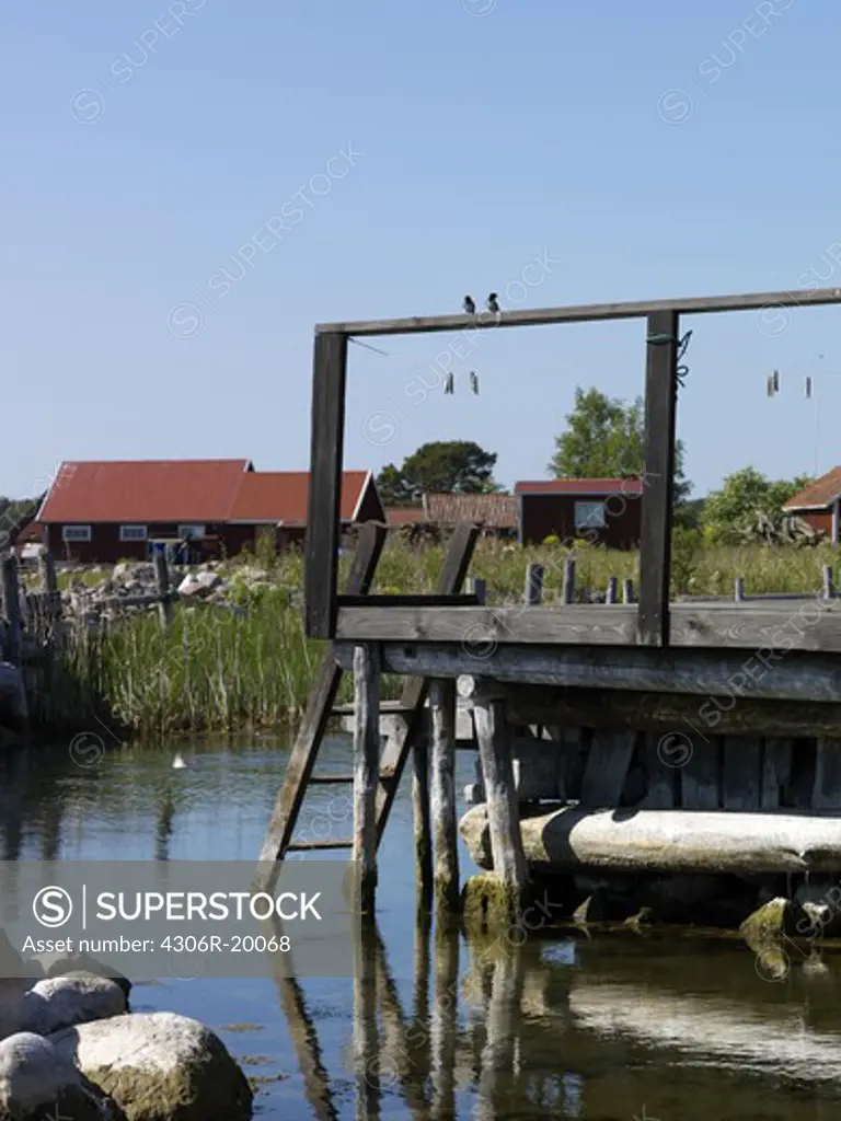 Swallows on a jetty, Smaland, Sweden.