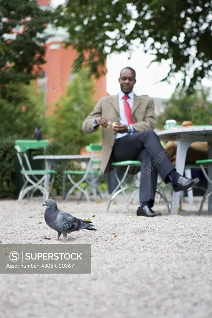A man feeding pigeons, Stockholm, Sweden.