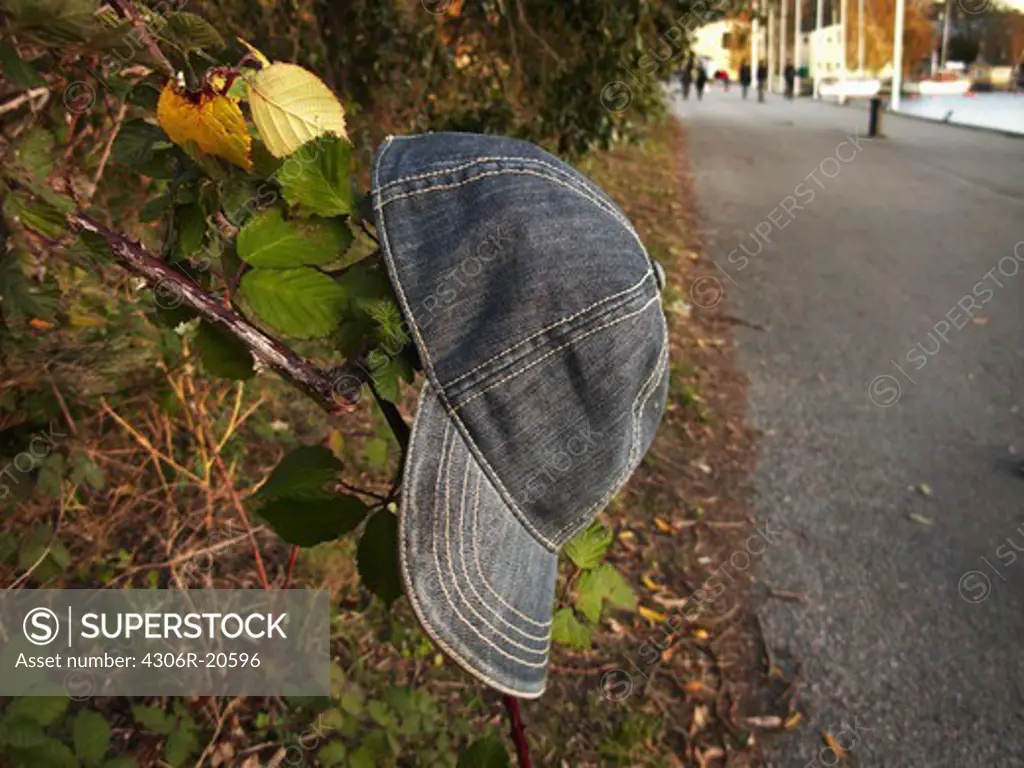 A cap hanging in a bush, Stockholm, Sweden.