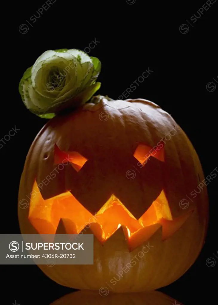 A Halloween pumpkin, Denmark.