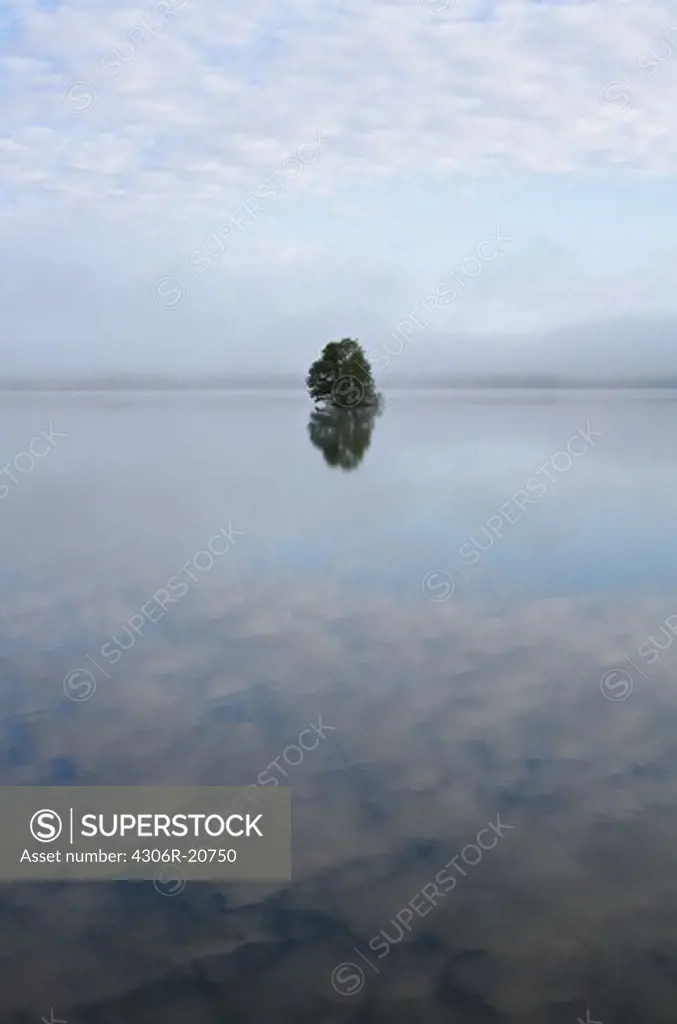 Scenic landscape with water and lonely tree