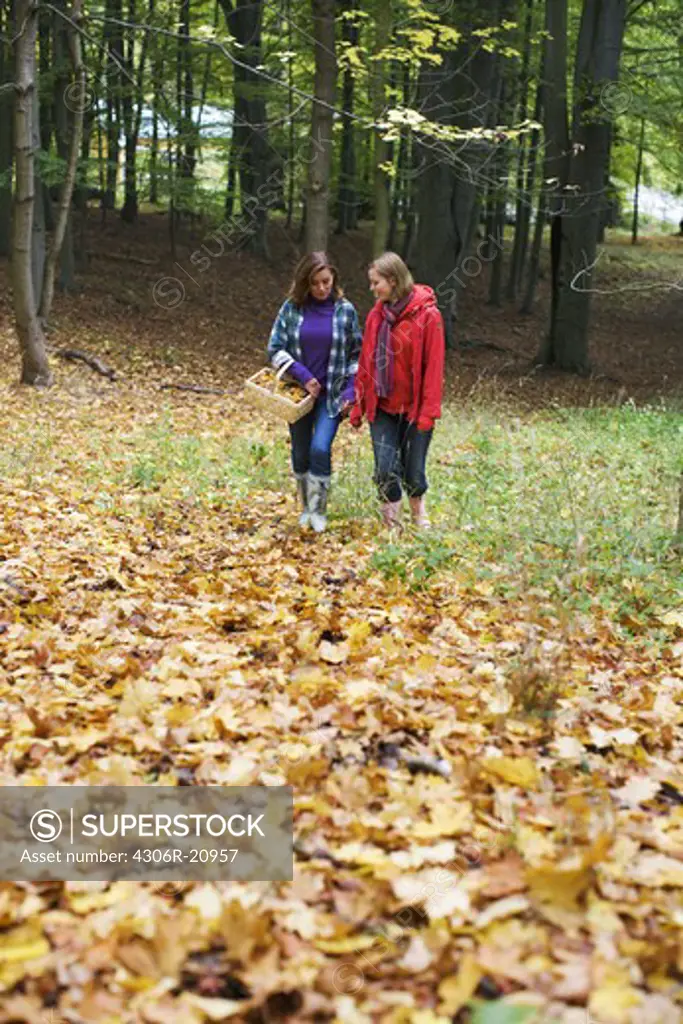 Mother and daughter walking in a forest, Stockholm, Sweden.