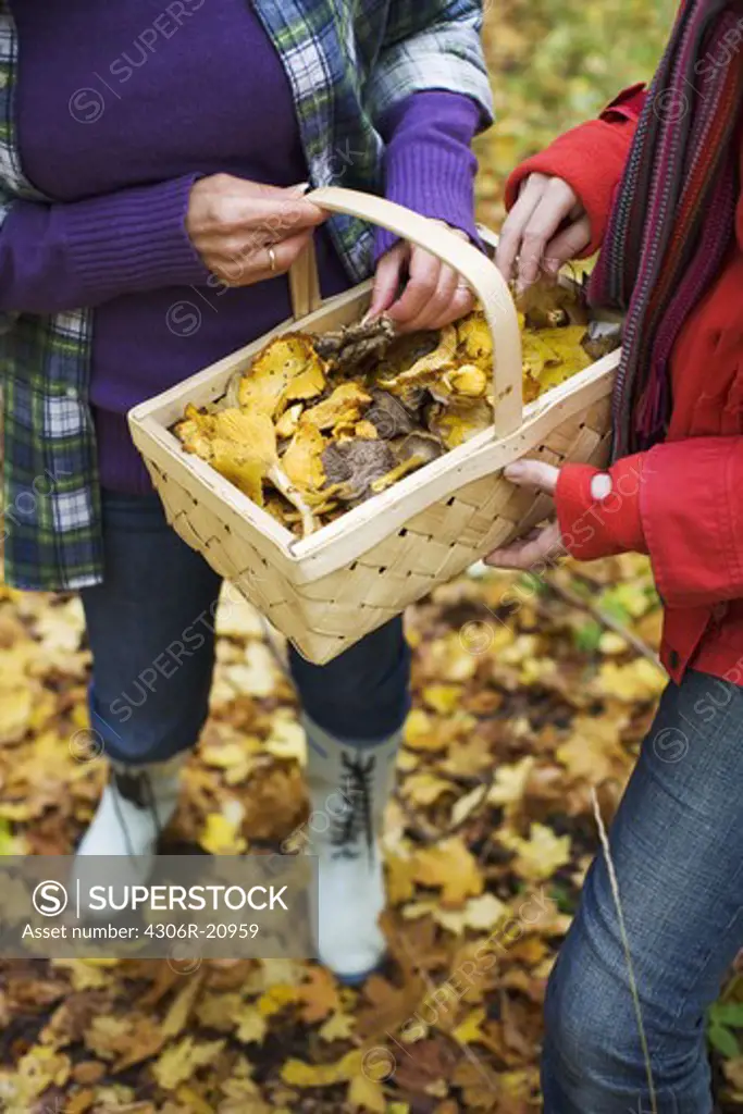 Mother and daughter picking mushrooms, Sweden.