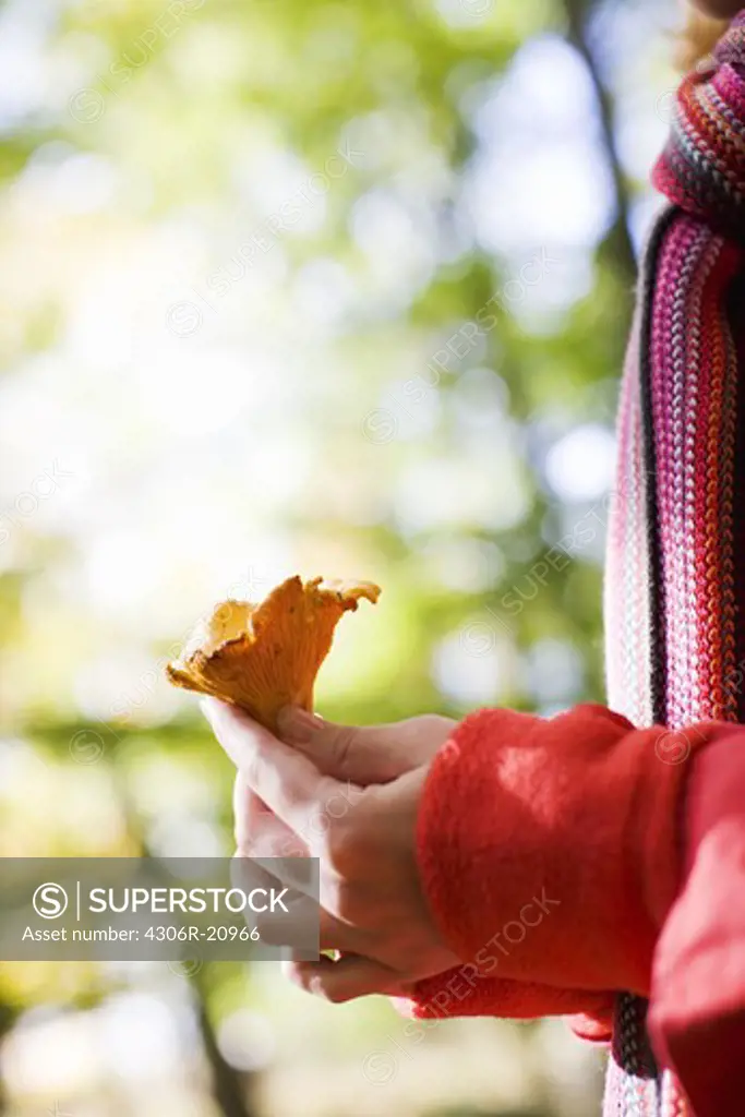 A woman holding a chanterelle, close-up, Sweden.
