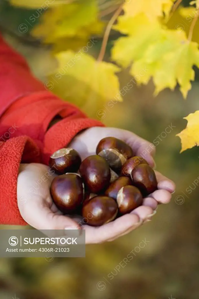 A woman holding chestnuts, Sweden.
