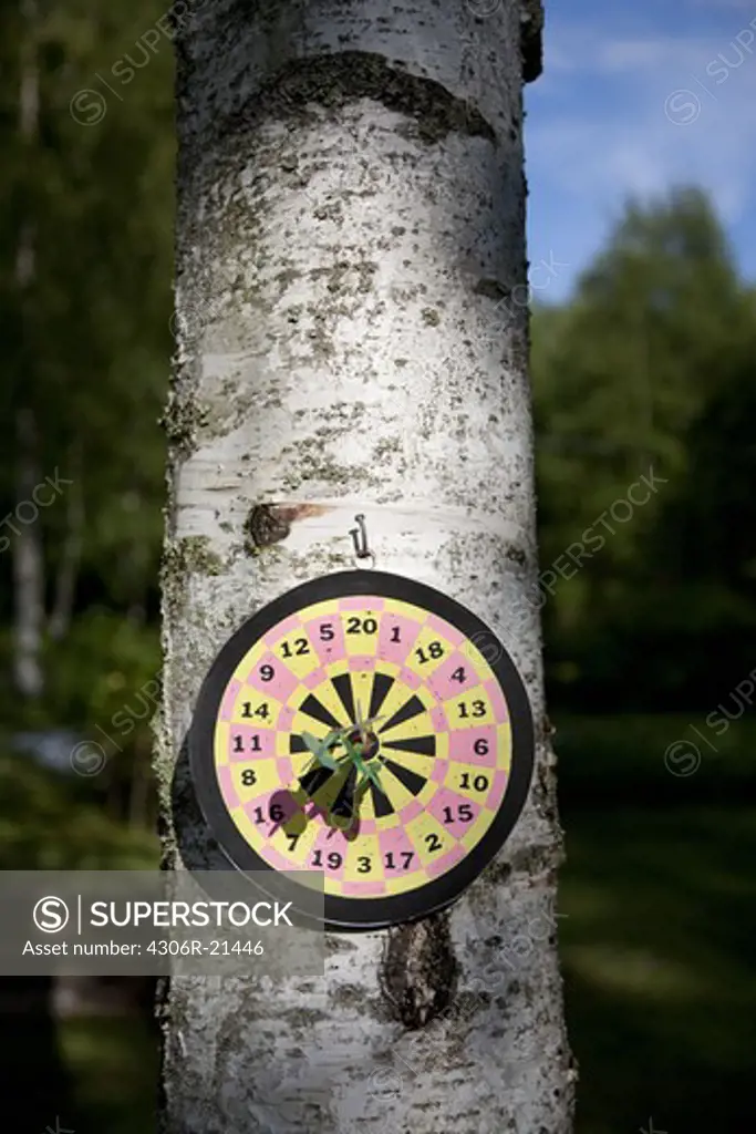 Dart board on tree trunk