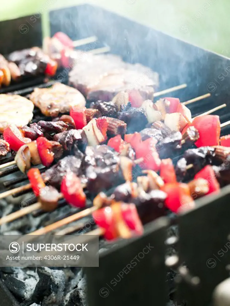 Skewers on grill