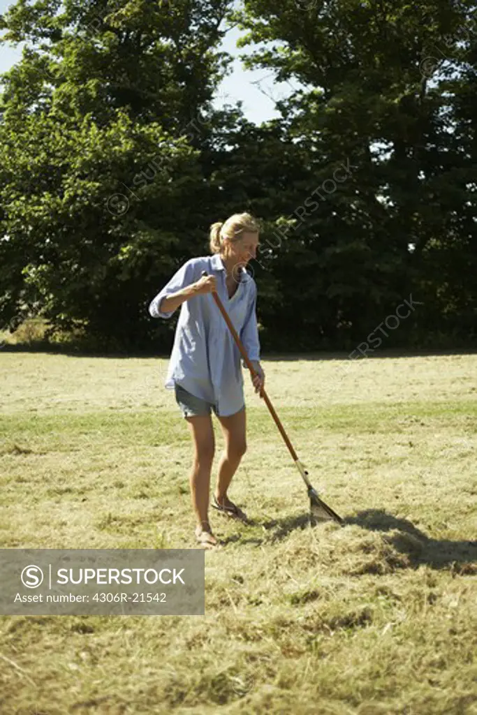 A woman raking, Gotland, Sweden.