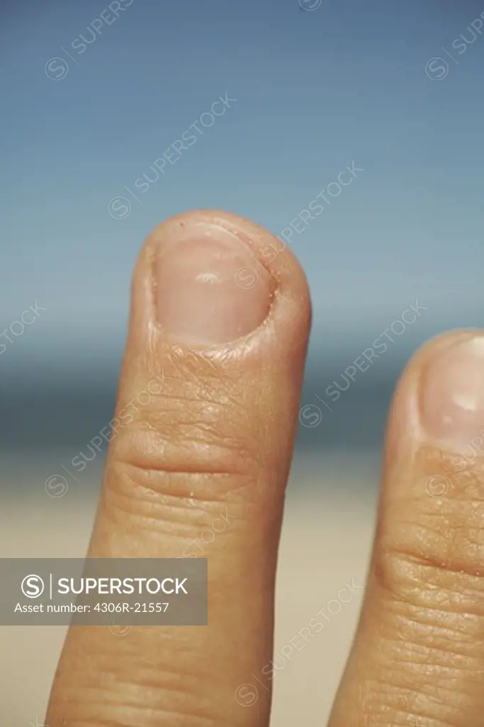 Fingers, close-up, Gotland, Sweden.