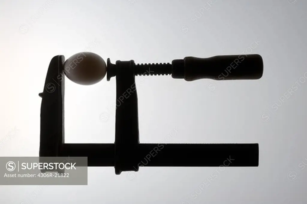 Egg pressed in a clamp.