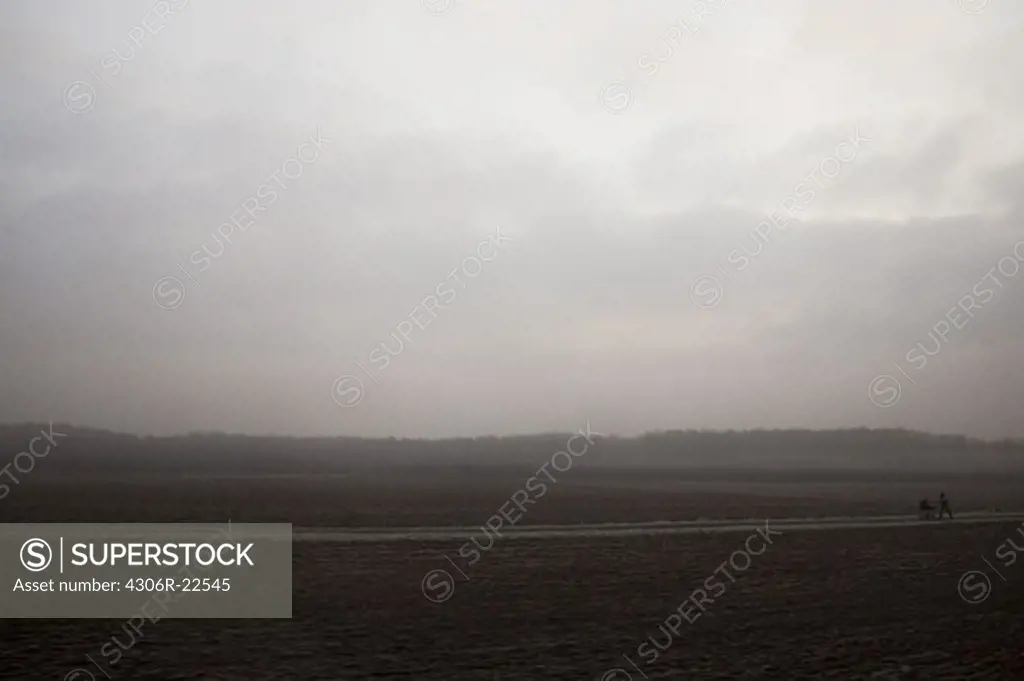 Foggy landscape, Germany.