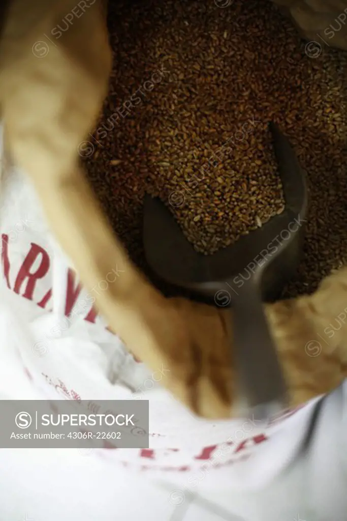 Close up of bag with seeds and shovel