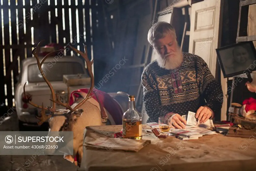 Santa Claus in a barn with a reindeer, Sweden.