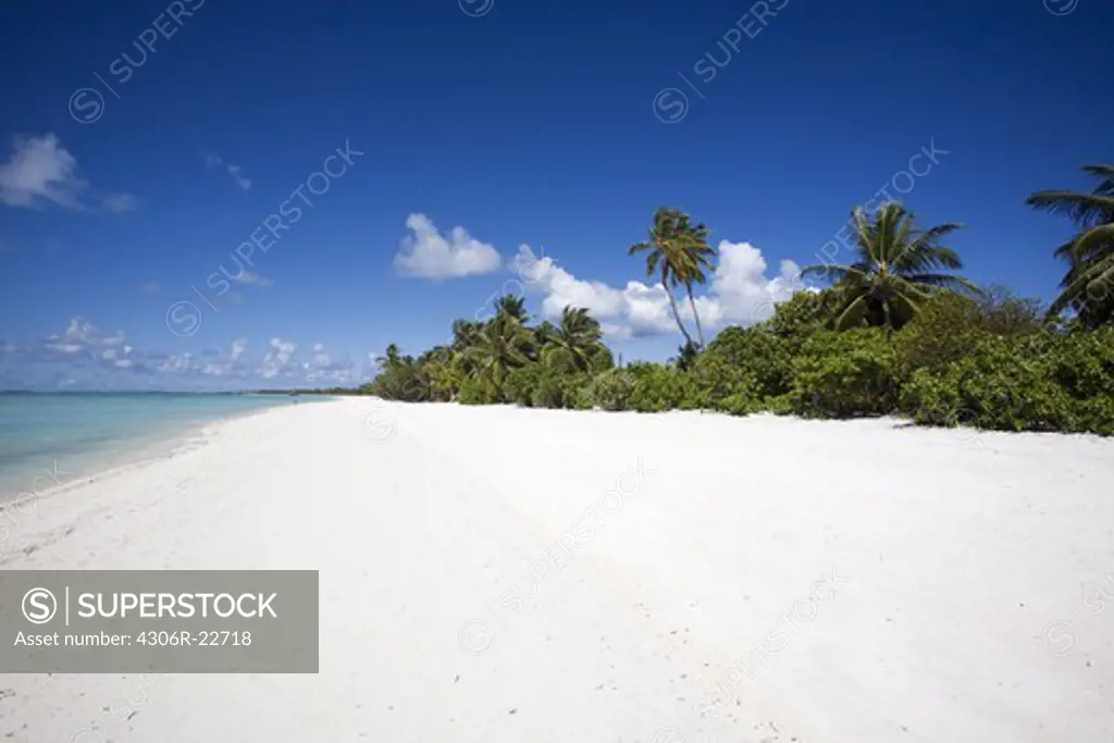 A desert beach, the Maldives.