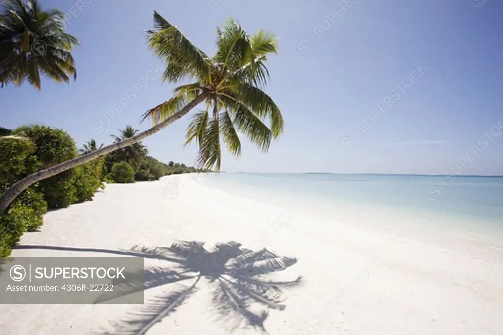 A desert beach, the Maldives.